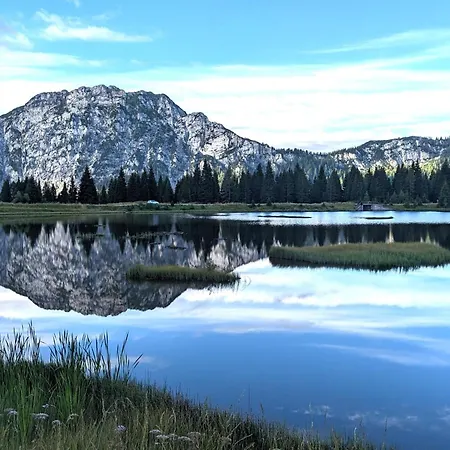 20b